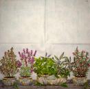 172 Blumen Sonstige - 3-lagig - Ihr